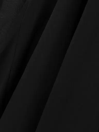 Sharon Wauchob Jay Asymmetric Pleated Silk-voile Skirt | Thumbnail 4
