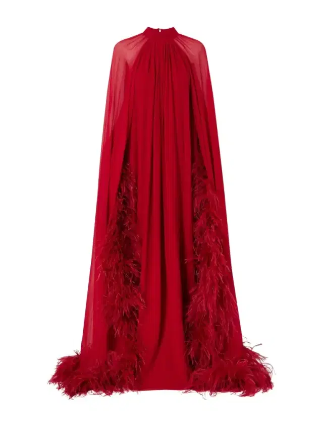 Eterea Cape-effect Feather-trimmed Chiffon Gown