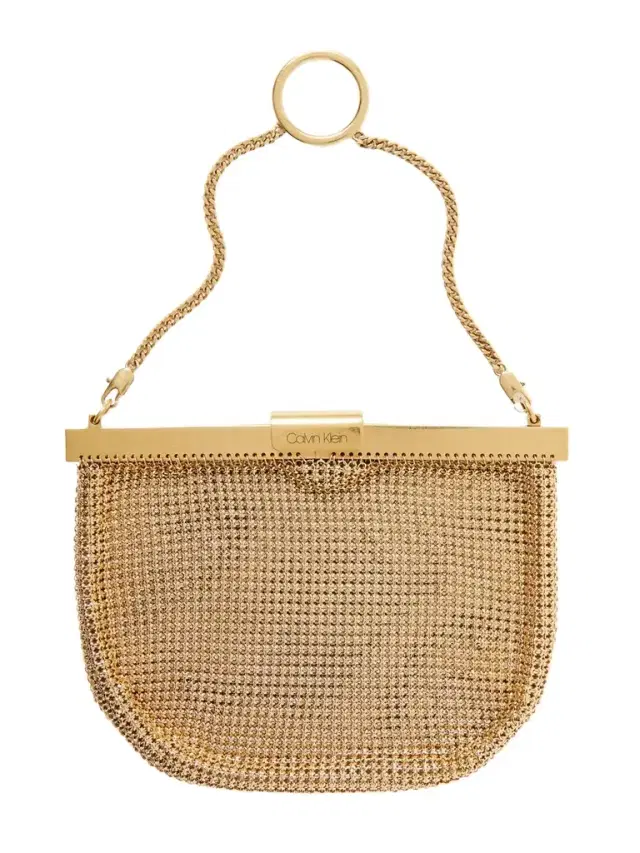 54 Chainmail Clutch