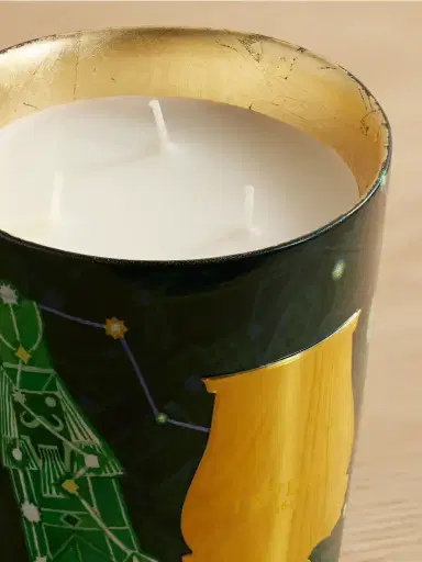 TRUDON Fir Scented Candle, 800g | Thumbnail 3
