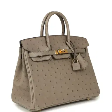 HERMÈS Pre-owned Hermes Birkin 25 Gris Tourterelle Ostrich Gold Hardware | Thumbnail 2 HERMÈS Pre-owned Hermes Birkin 25 Gris Tourterelle Ostrich Gold Hardware | Thumbnail 2