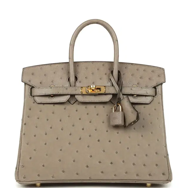 hermes Pre-owned Hermes Birkin 25 Gris Tourterelle Ostrich Gold Hardware