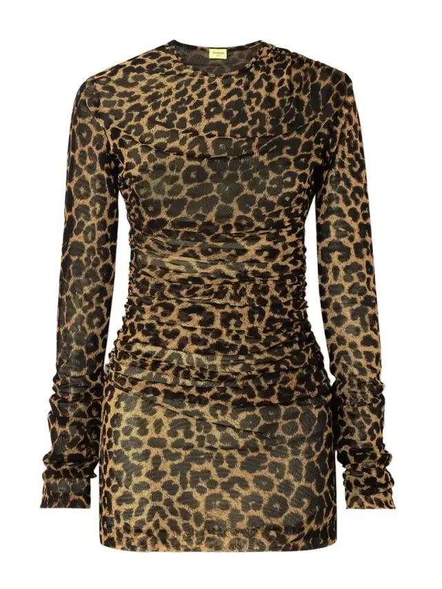Leopard-print Ruched Mesh Mini Dress