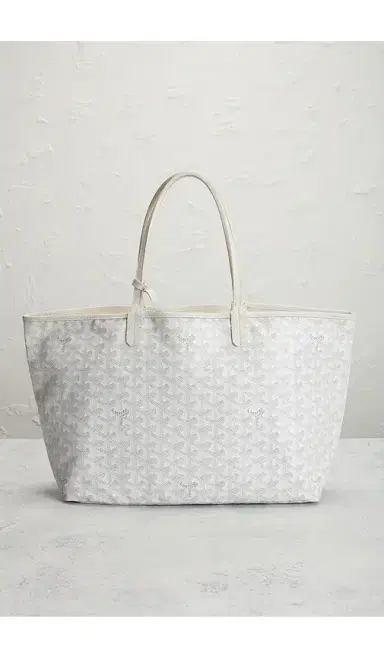 goyard Saint Louis PM Tote Bag | Thumbnail 2