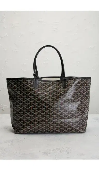 goyard Saint Louis PM Tote Bag | Thumbnail 2
