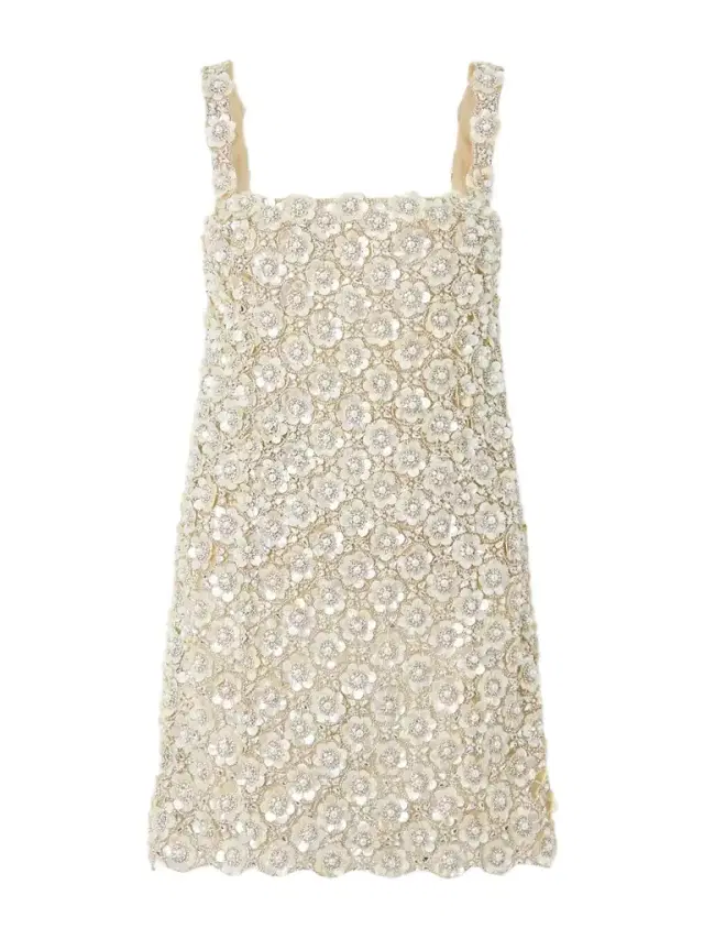 Embroidered Mini Dress