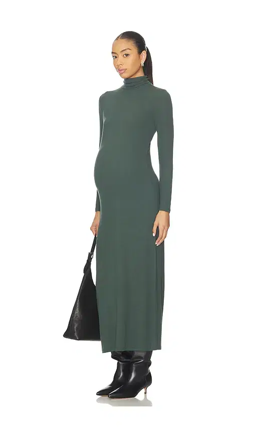 HATCH The Softest Rib Turtleneck Dress