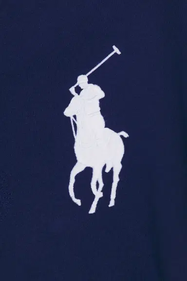 Polo Ralph Lauren Magic Fleece Big Pony Rugby Sweatshirt | Thumbnail 5