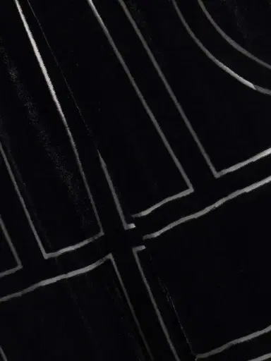TOTEME Devoré-velvet Wide-leg Pants | Thumbnail 5 TOTEME Devoré-velvet Wide-leg Pants | Thumbnail 5