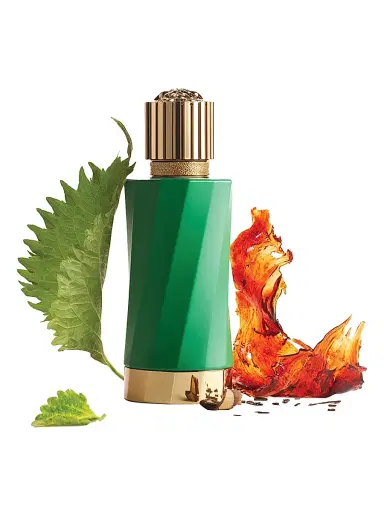 Versace Patchouli Précieux Eau de Parfum | Thumbnail 4