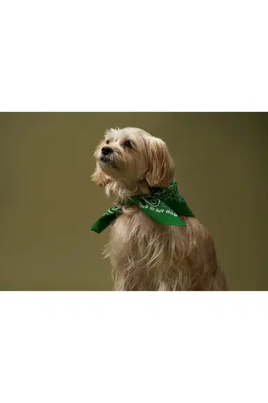 Lil Luv Dog Bandana | Thumbnail 4