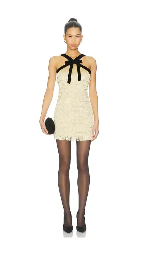 Autumn Dress