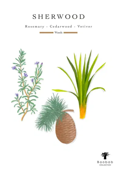 Baobab Collection Sherwood Classique Candle | Thumbnail 2