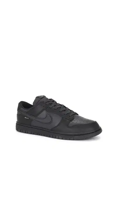 Nike Dunk Low GTX | Thumbnail 2