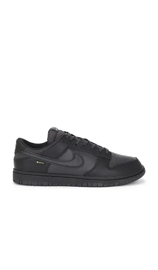 Nike Dunk Low GTX