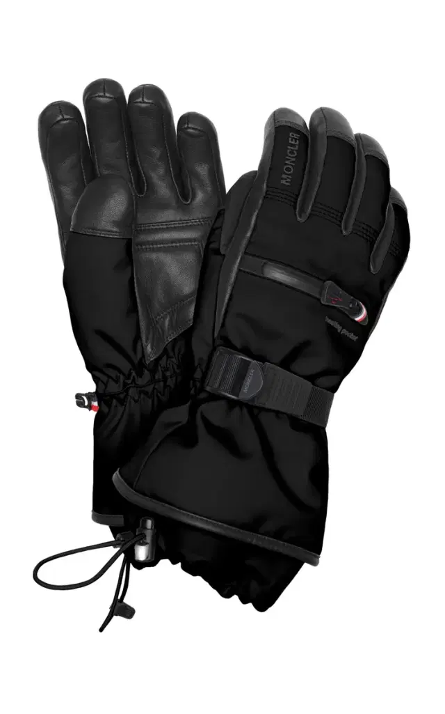 Ski Gloves