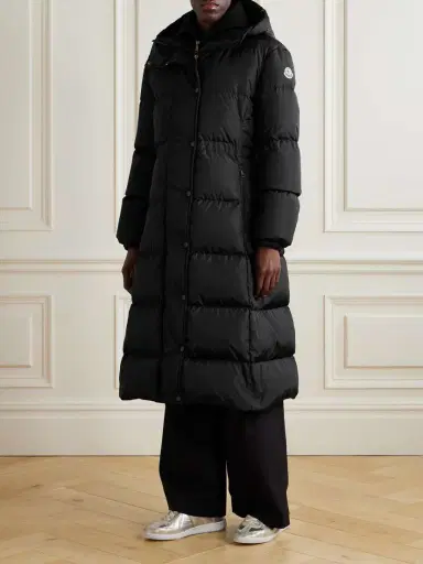 Moncler Chamer Hooded Quilted Shell Down Coat | Thumbnail 3