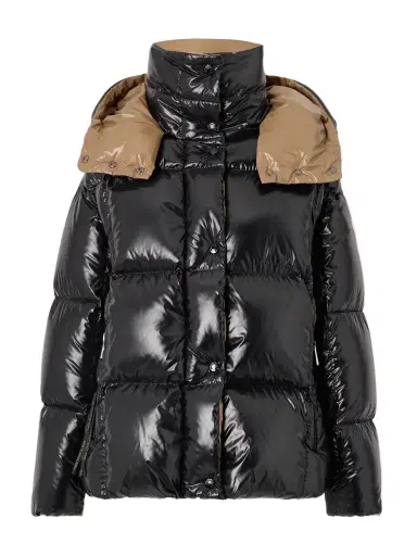 Moncler Hooded Quilted Glossed-shell Down Jacket | Thumbnail 1