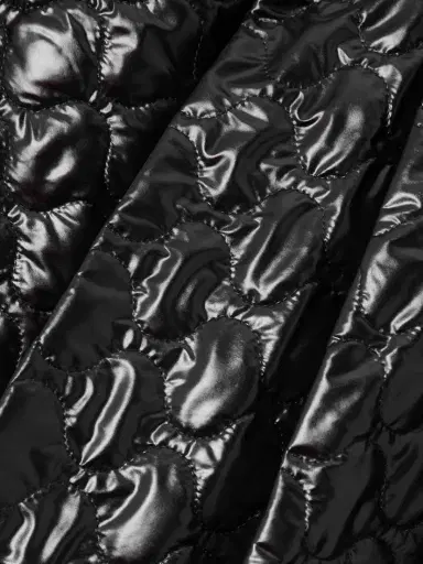 Moncler Appliquéd Pleated Quilted Padded Shell Skirt | Thumbnail 5
