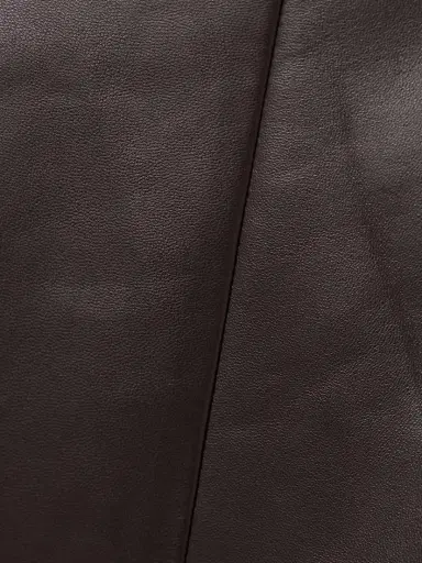 The Row Hedora Pleated Paneled Leather Skirt | Thumbnail 4