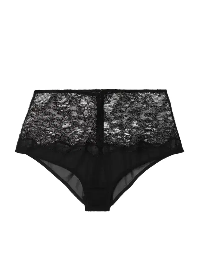 La Follie Lace And Mesh Briefs