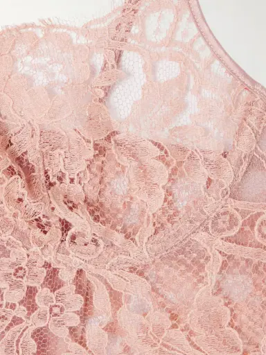 Kiki de Montparnasse Camille Stretch-silk Satin-trimmed Organic Cotton-blend Lace Underwired Bra | Thumbnail 4