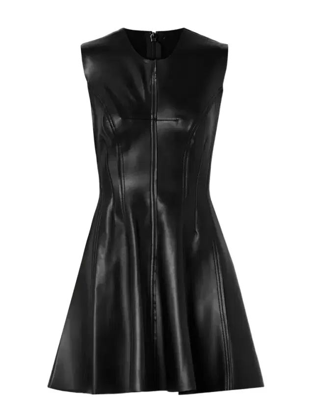 Grace Paneled Vegan Mini Dress