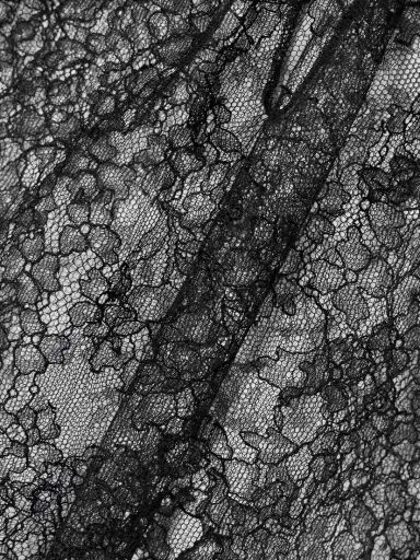Alexander McQueen Scalloped Lace Top | Thumbnail 5