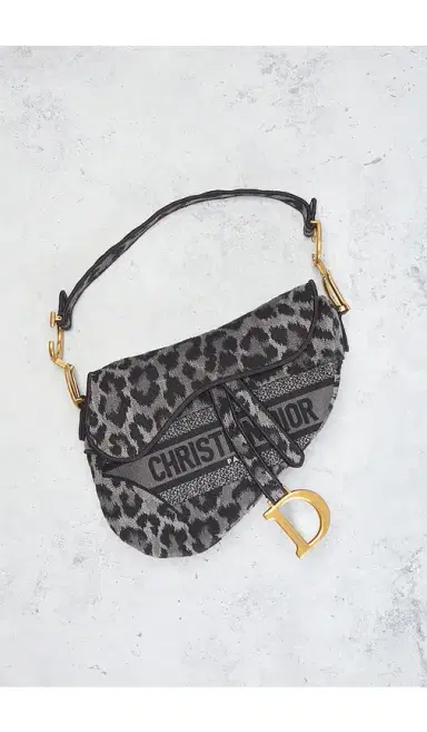Dior Mizza Embroidered Saddle Bag | Thumbnail 2