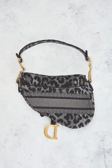 Dior Mizza Embroidered Saddle Bag | Thumbnail 5