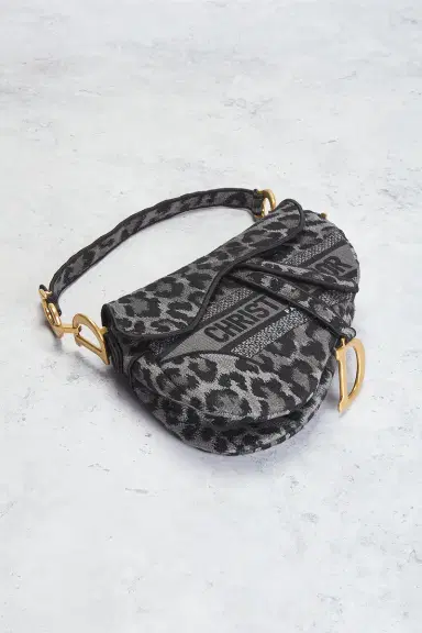 Dior Mizza Embroidered Saddle Bag | Thumbnail 6