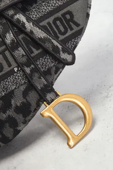Dior Mizza Embroidered Saddle Bag | Thumbnail 7