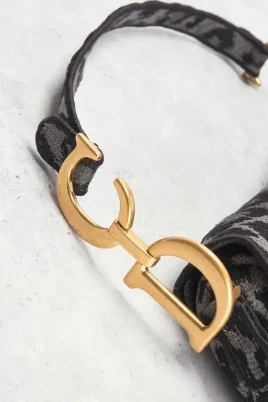 Dior Mizza Embroidered Saddle Bag | Thumbnail 10