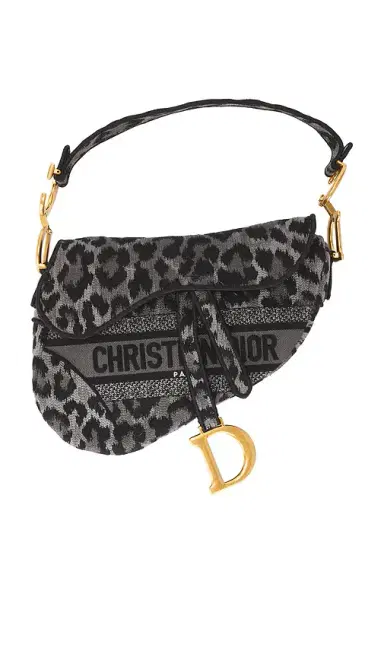 Dior Mizza Embroidered Saddle Bag | Thumbnail 1