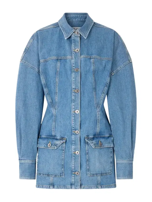 Paneled Denim Mini Dress