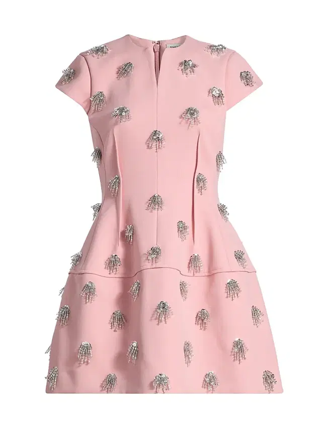 Women's Bethanie Bead-Embellished Minidress - Dusty Rose