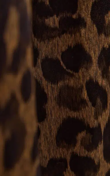 FRANÇOISE Zaoua Leopard Silk Pants | Thumbnail 5