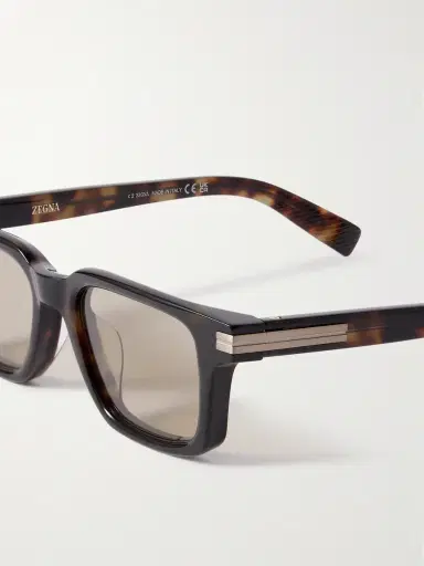 Zegna D-Frame Acetate Sunglasses - Men | Thumbnail 3