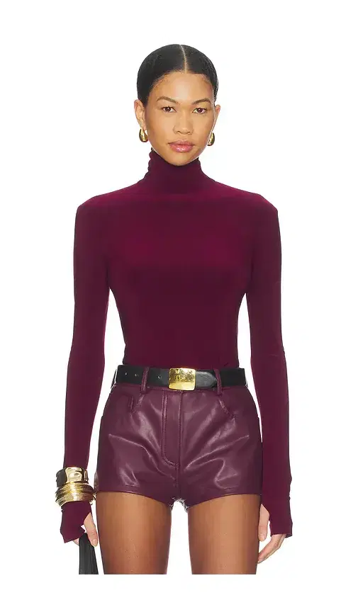 Slim Fit Long Sleeve Turtle Top