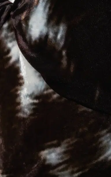 Dries Van Noten Duska Cow-Printed Silk-Velvet Midi Dress | Thumbnail 3