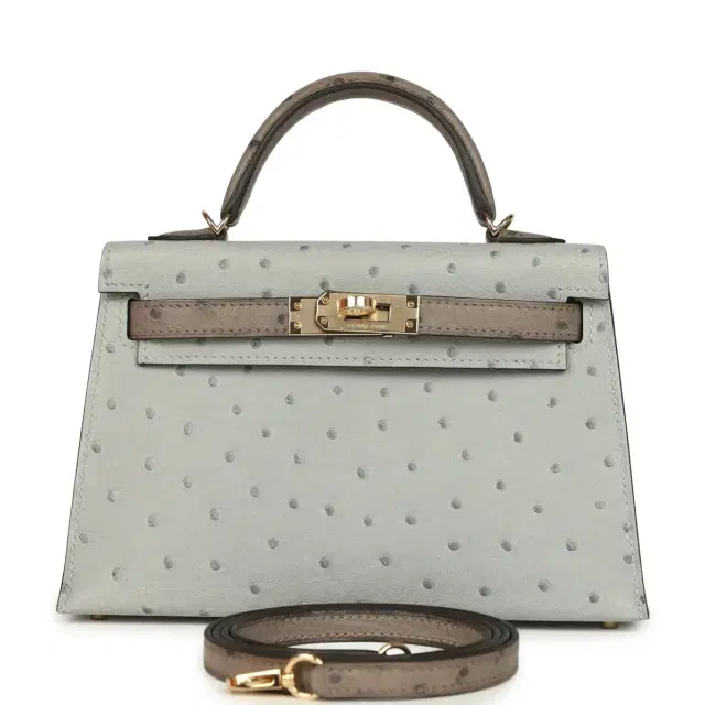 hermes Hermes Special Order (HSS) Kelly Sellier 20 Bleu Glacier and Gris Tourterelle Ostrich Permabrass Hardware