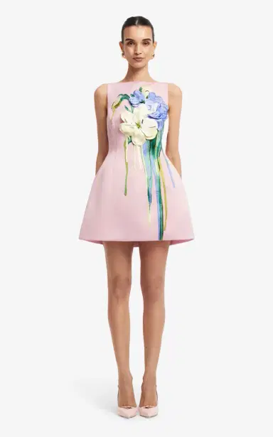 LEO LIN Ali Embroidered Mini Dress | Thumbnail 4