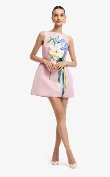 LEO LIN Ali Embroidered Mini Dress | Thumbnail 6