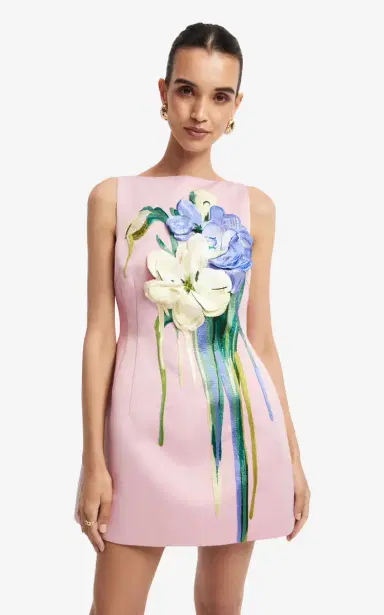 LEO LIN Ali Embroidered Mini Dress | Thumbnail 7