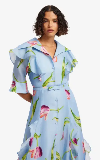 LEO LIN Isabella Floral-Print Silk Maxi Dress | Thumbnail 5