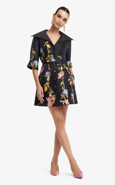 LEO LIN Genevieve Floral-Print Linen-Blend Button-Up Mini Dress | Thumbnail 5