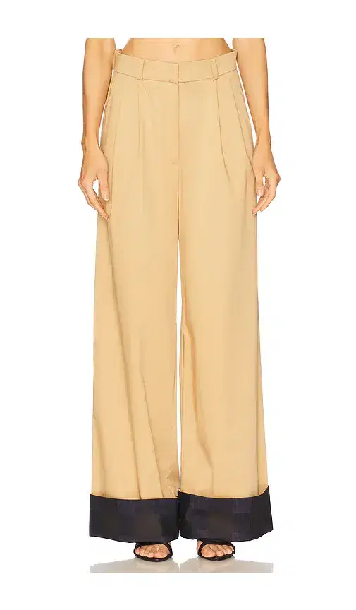 Desmia Pant