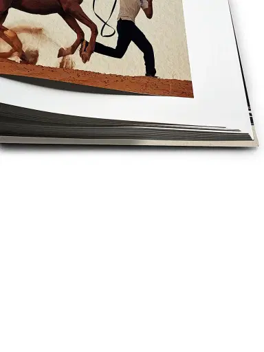 Assouline Horses from Saudi Arabia Book by Debbie Burt | Thumbnail 6
