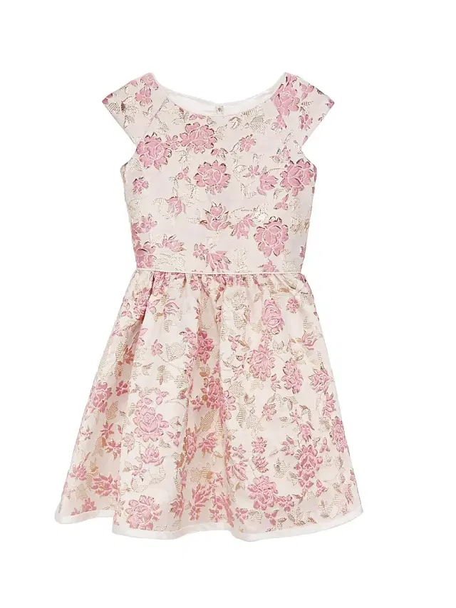 Joan Calabrese Little Girl's & Girl's Joan Brocade Cap-Sleeve Dress -  Multi