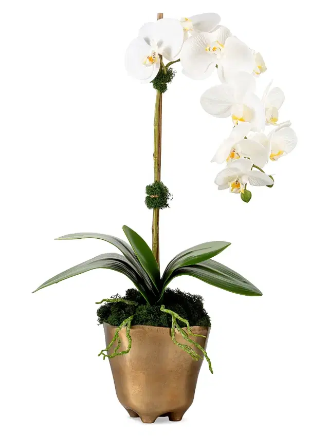 Axel RealTouch Orchid Arrangement - Periwinkle